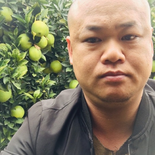 全南县 赣南脐橙