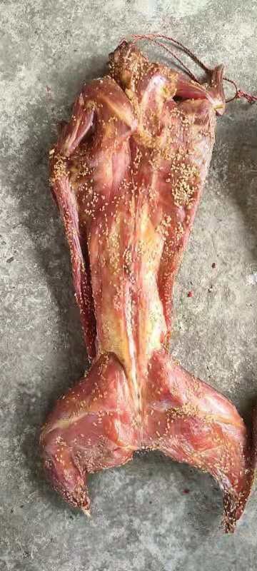 成都腊兔  风吹兔