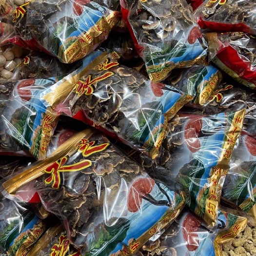 中山市白灵芝 长白山出产的玉灵芝，批发，量大优惠