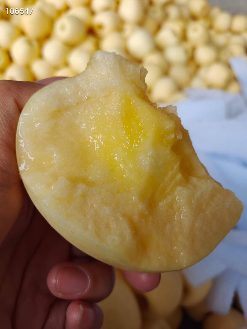 维纳斯黄金苹果水果 脆甜多汁 新鲜 不打蜡