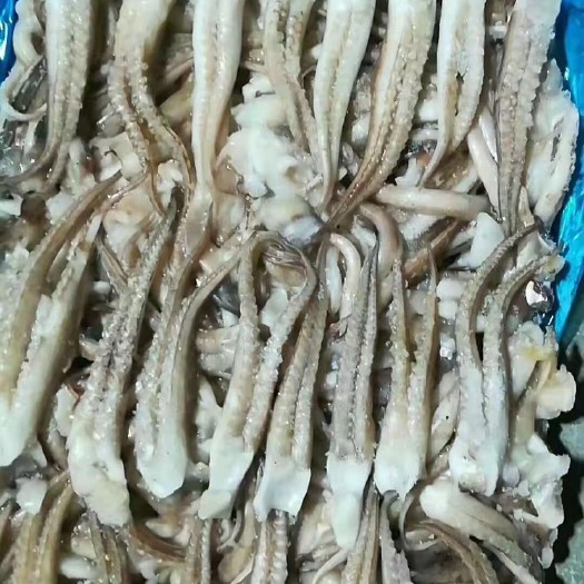 连云港 精品鱿鱼须
