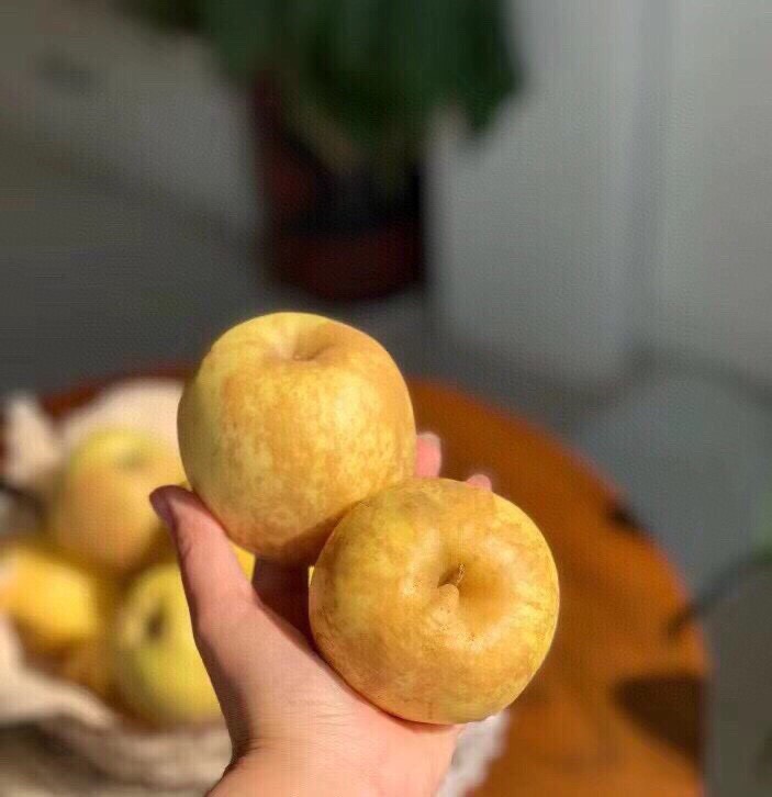 维纳斯黄金苹果水果 脆甜多汁 新鲜 不打蜡