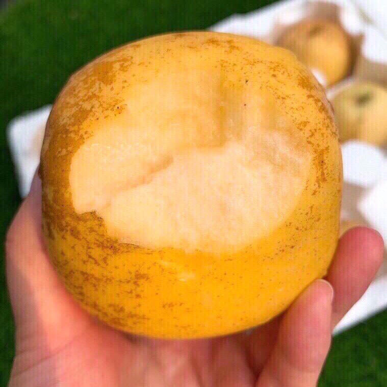 维纳斯黄金苹果水果 脆甜多汁 新鲜 不打蜡