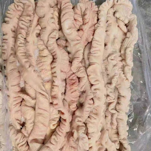 成都预煮猪肠  肥肠  20斤每件 解冻19斤  精品a级