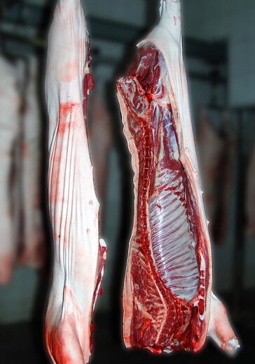 猪肉类  生猪白条正宗农家土猪肉现杀新鲜散养.土猪肉
