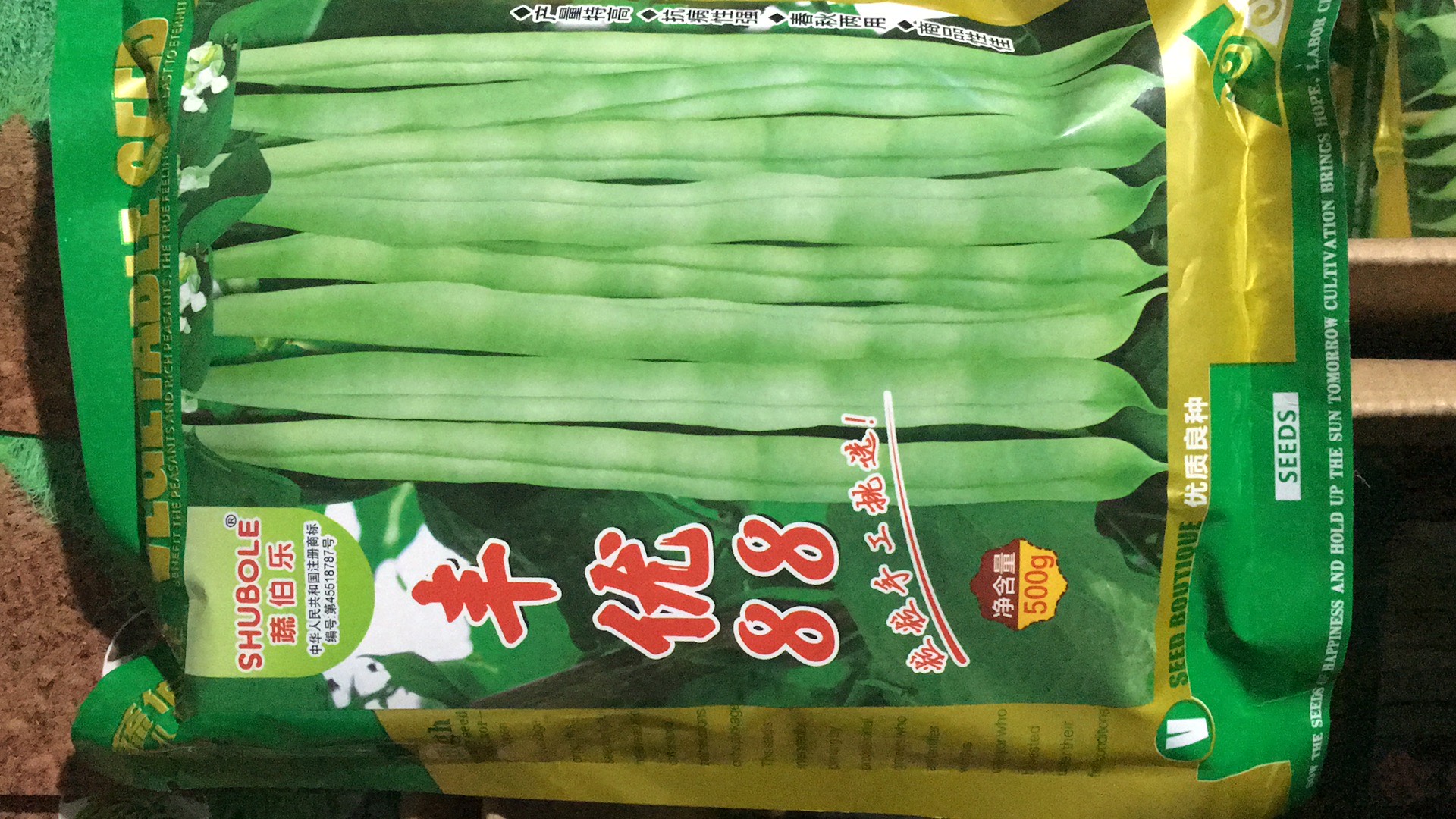 郑州早熟高产无丝豆 荚白绿色产量高，适合冬，春季大棚，露地栽培
