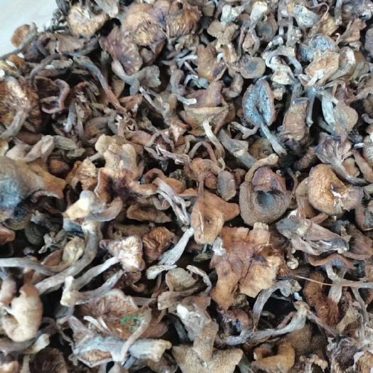 柳河县榛蘑干吉林通化