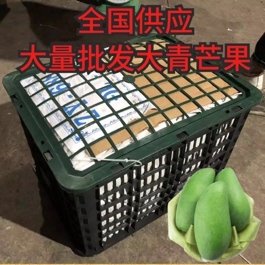 凭祥市大青芒果全国发货批发整件60斤发货运费自理承接平台一件代发