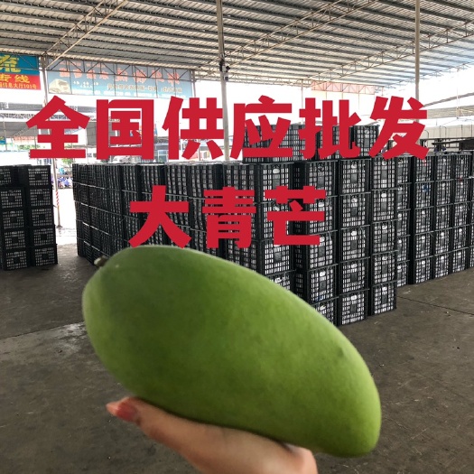 凭祥市芒果批发全国打货越南大青芒直销批发60斤/框产地直销批发一手
