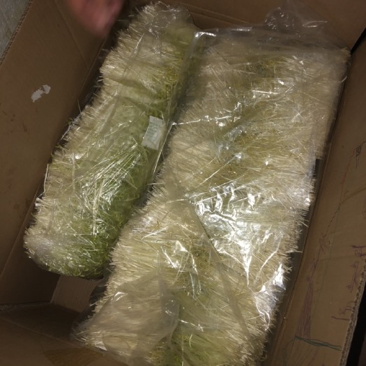 莱西市豌豆苗 别问有没有货 就说你要多少斤吧