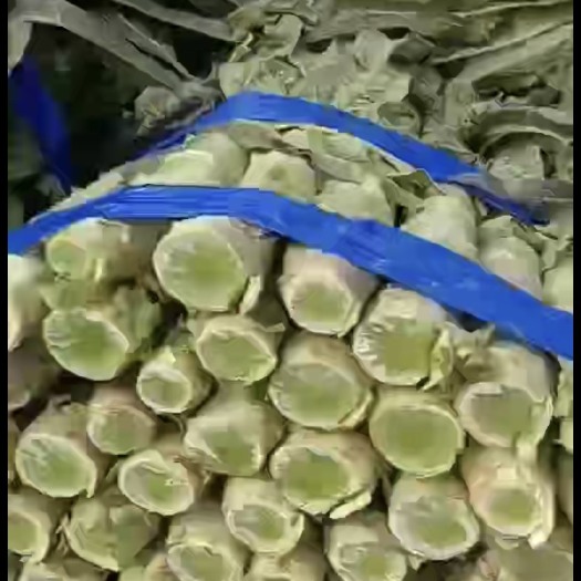 宿州 红叶莴笋大量上市，以质量定价格