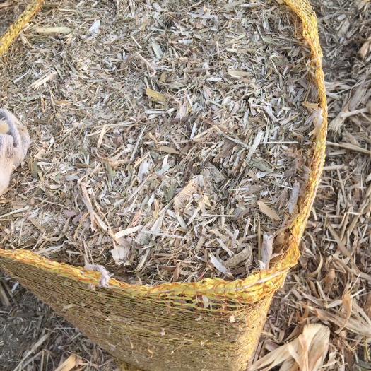 阳高县打包玉米秸秆粉碎揉丝处尘饲草