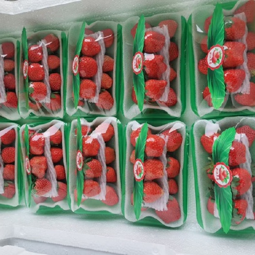 宁玉草莓  ，草莓上量！！价格微落！！有想法，联系！