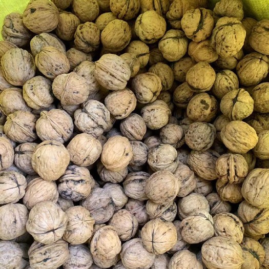 平邑县 沂蒙山核桃，易剥皮，口味纯正