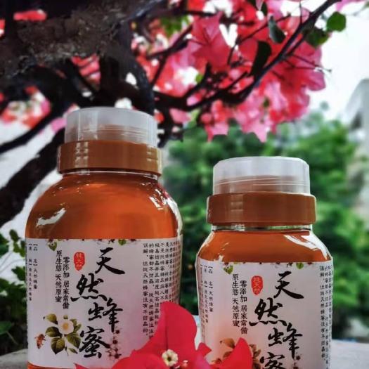 广州 广东省广州市增城区农家纯荔枝蜜