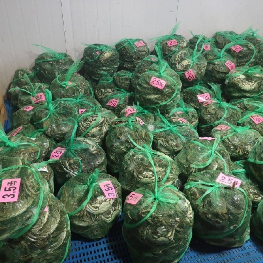 大闸蟹 江苏省镇江市句容市