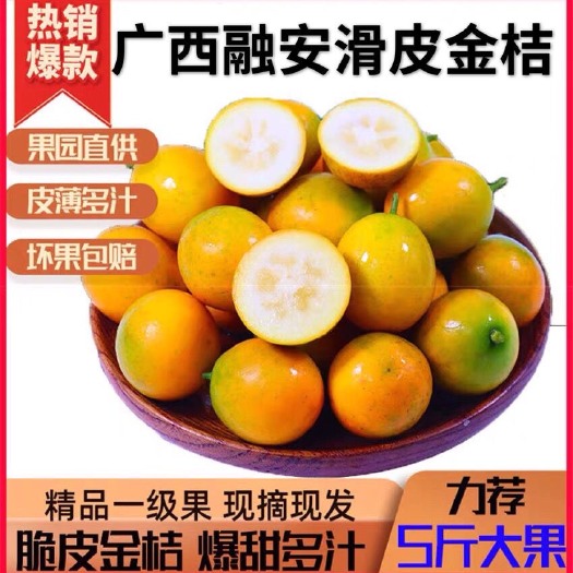 融安县广西融安滑皮金桔正宗脆皮金橘2/3/5斤桔子新鲜水果橘子纯甜