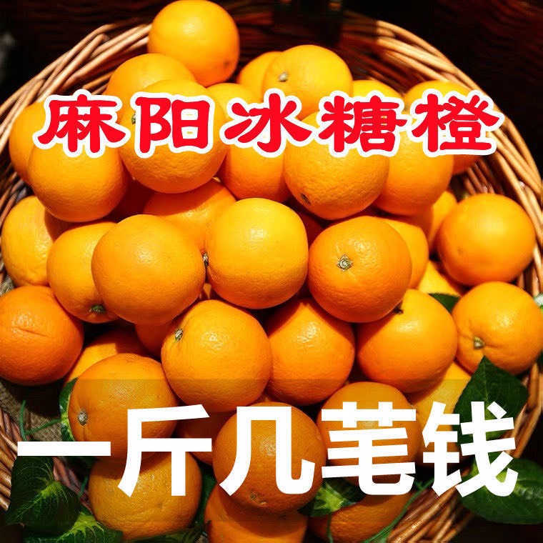 麻阳苗族自治县湖南钲宗麻阳冰糖橙。【冰糖脐橙。小橙子。甜橙】