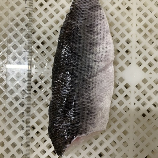 乌鳢  黑鱼鱼柳