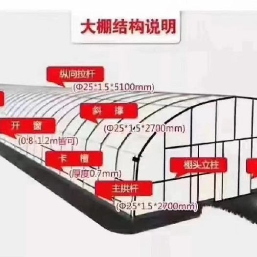 天津大棚管 