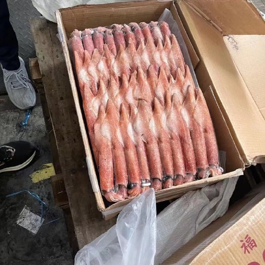 福州枪乌贼 印尼笔管鱿鱼，全规格，这段时间陆续到货，店商朋友欢迎过来洽谈