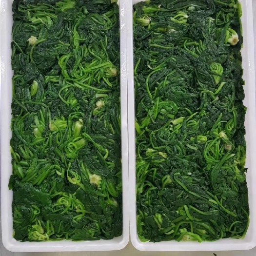 邯郸新鲜速冻荠菜