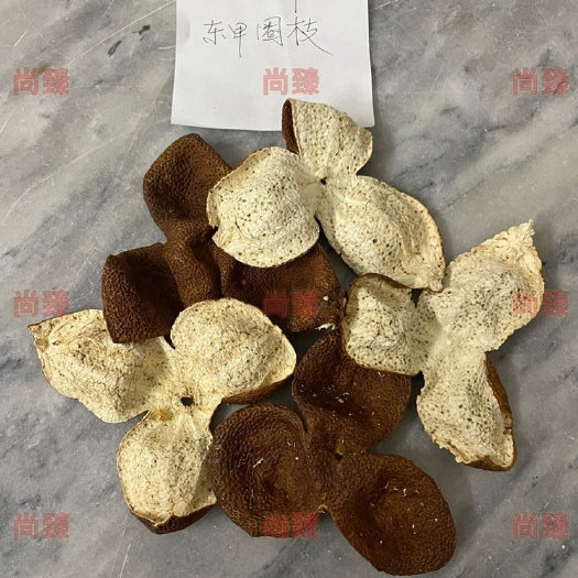 江门2020年东甲圈枝陈皮