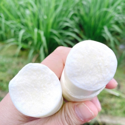 惠水县 茭白