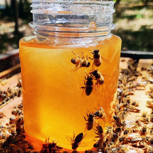 邯郸野蜂蜜 自产自销土蜂蜜正宗天然农家自产深山枣花洋槐花百花天然蜂蜜正品