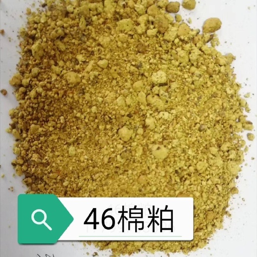 沙湾市 46棉粕