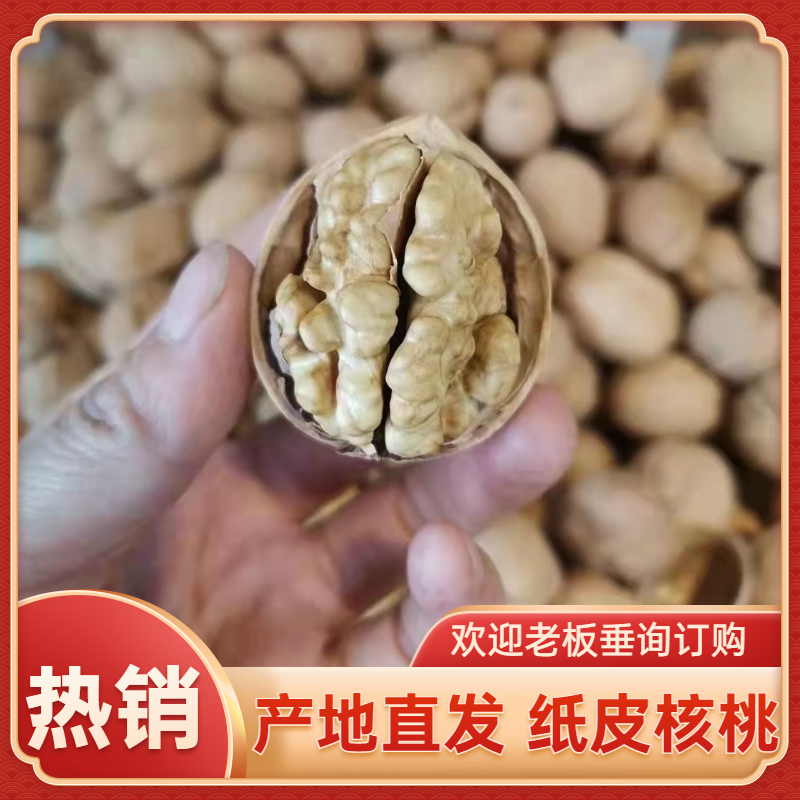 库尔勒市薄皮核桃 185纸皮核桃一件代发，批发零售，产地直发