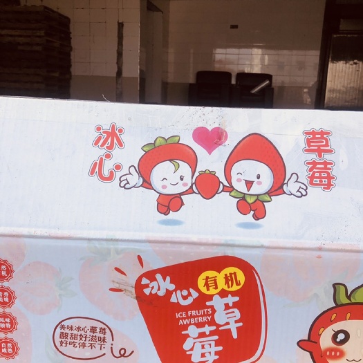 东港市 冰冻草莓