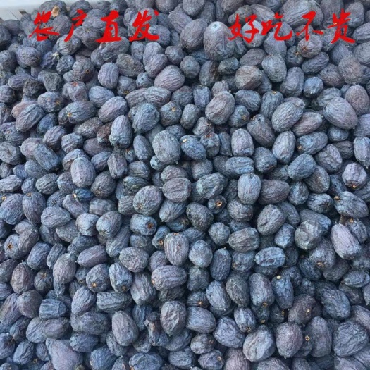 涉县河北无核黑枣大量批发，原产地发货，一站式服务