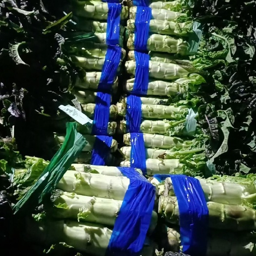 大理市 大理红叶莴笋。