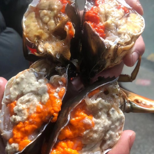 厦门青蟹  金门正宗红膏蟹，金门不止有高粱酒，弹菜刀，还有红膏蟹