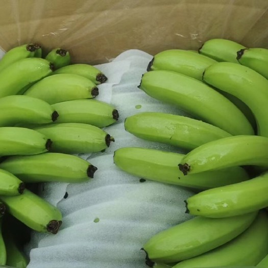 香蕉通货 优选社区团购 线上电商一件代发 果皮干净 欢迎放单