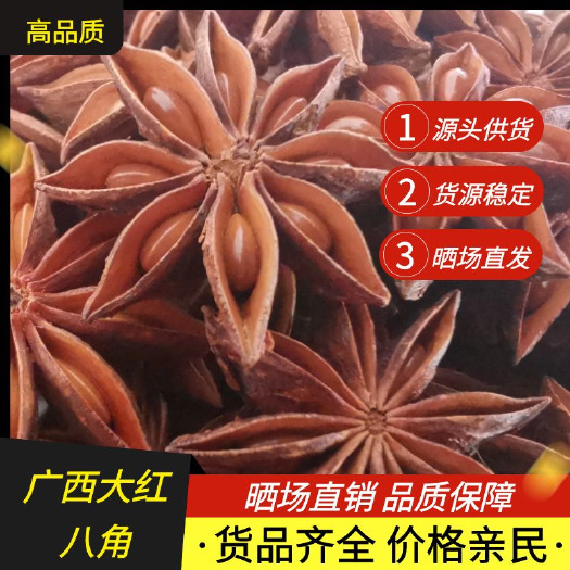 南宁大红八角  八角大料广西当季新货大茴香卤料八成干包筛【包邮】
