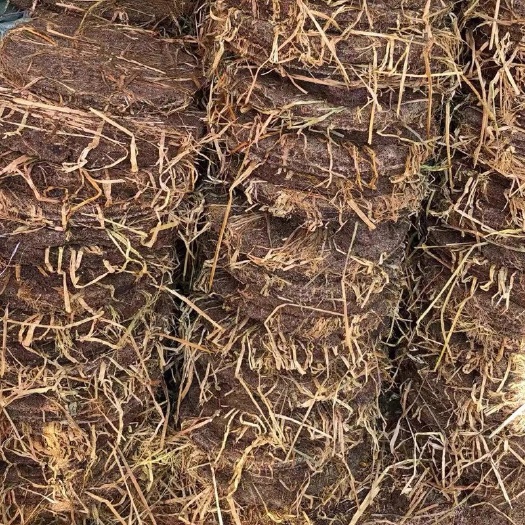 乐安县茶枯饼