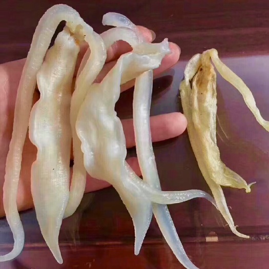 广州花胶 龙须胶