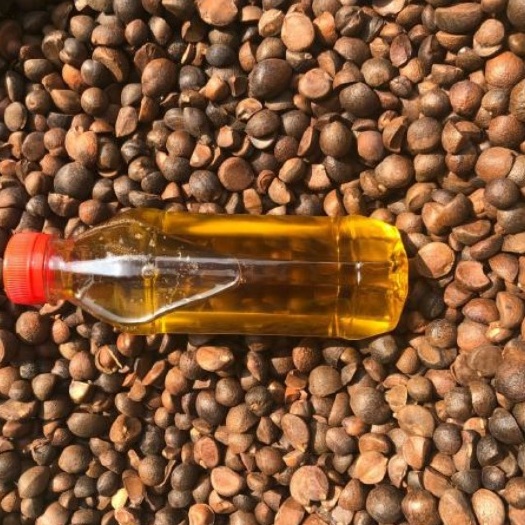 杭州 山茶油