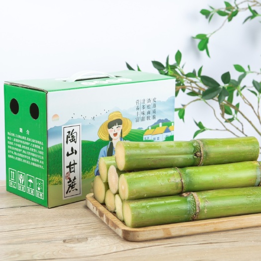 陶山甘蔗 场地直发 现砍现发 一健代发 量大可议价