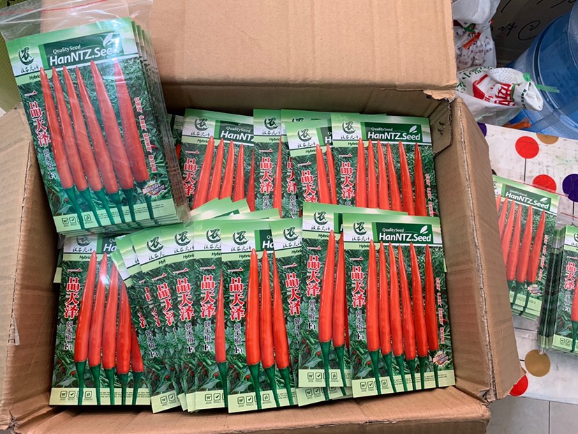 朝天椒种子  一品天泽泰系一代杂交朝天椒（抗性好，产量高）