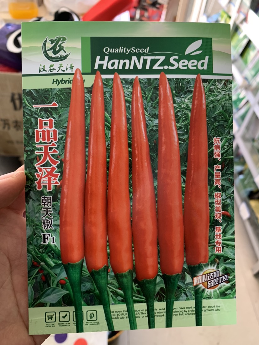 朝天椒种子  一品天泽泰系一代杂交朝天椒（抗性好，产量高）