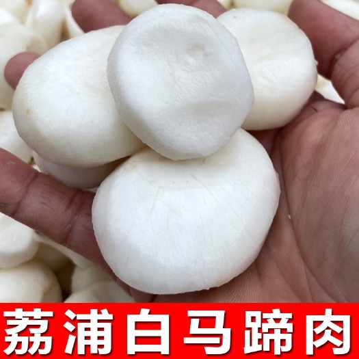 荔浦市广西荔浦马蹄肉白马蹄削皮荸荠肉