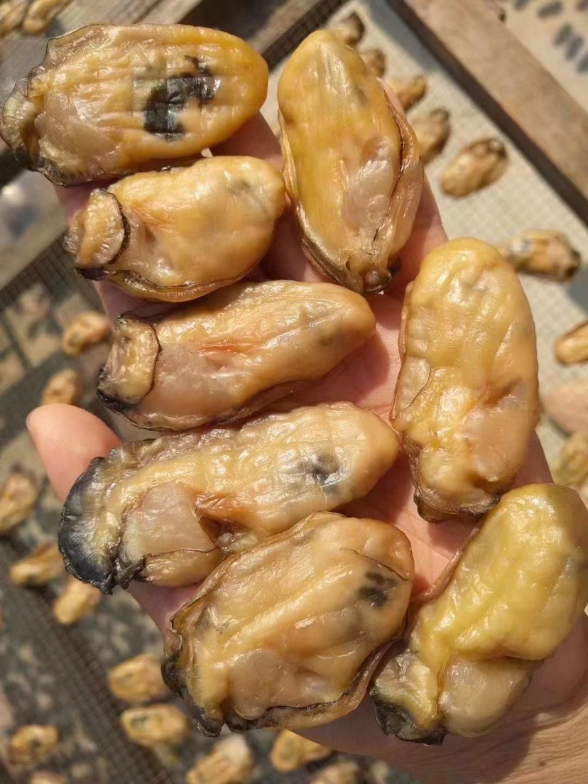 牡蛎干  广东阳江生蚝干 蚝豉 黄金蚝2斤装牡蛎新鲜程村特产