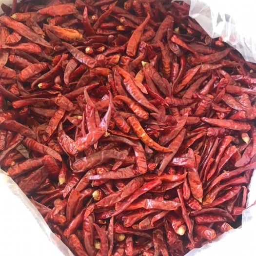 凭祥市 越南干辣椒