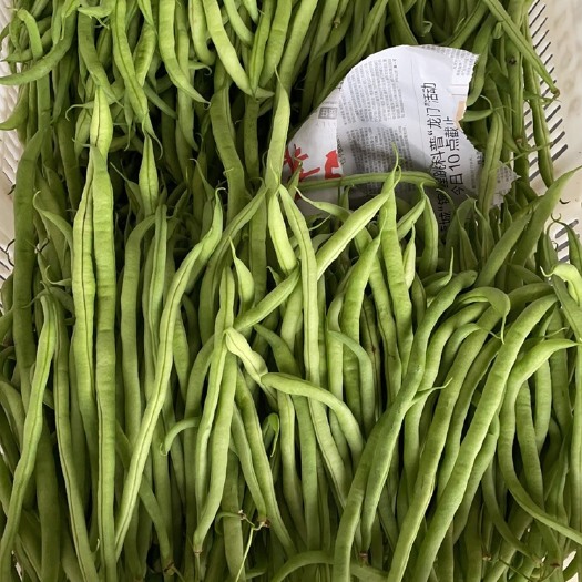 夹江县无筋豆角  乐山无筋豆大量上市，一手货源，万亩基地
欢迎咨询
