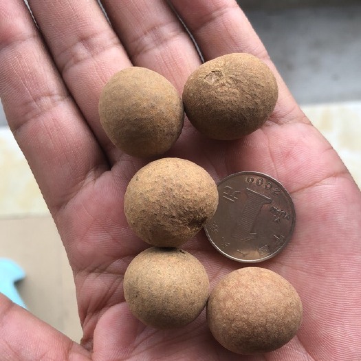 广州桂圆干  龙眼干