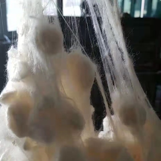 南召县 纯柞蚕丝光胎，成品，容易加工，产地批发