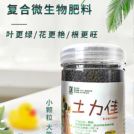 齐河县复合肥  复合微生物肥料